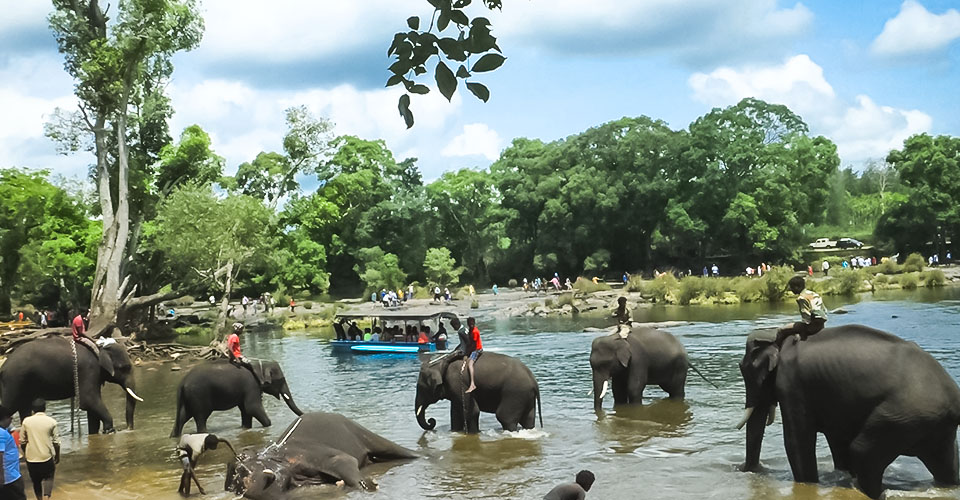 Dandeli- Karwar – Gokarna