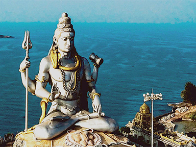 Visit Bird Sanctuaries