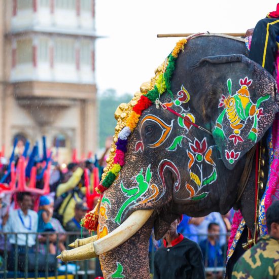 Jambu Savari Mysuru Dasara