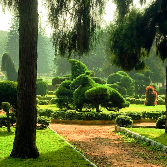 Lalbagh Botanical Garden