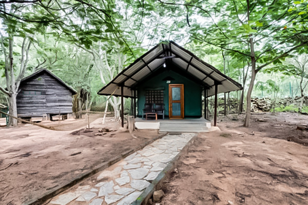 Bannerghatta Nature Camp