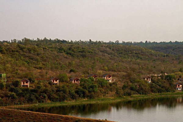 Blackbuck resort