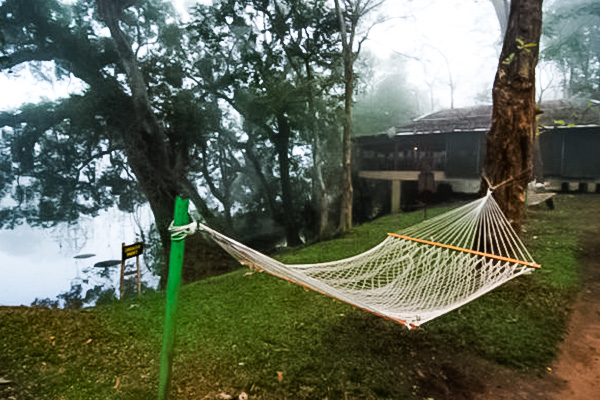 Dubare Elephant Camp