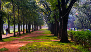 Cubbon Park