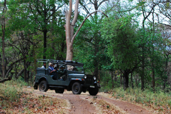 Kyathdevaraya Gudi Wilderness Camp