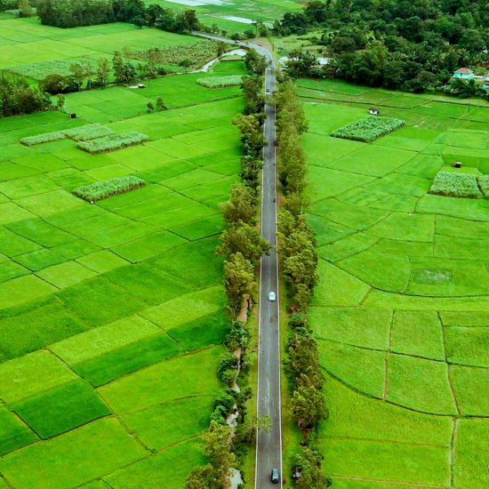 Talaguppa Shivamogga