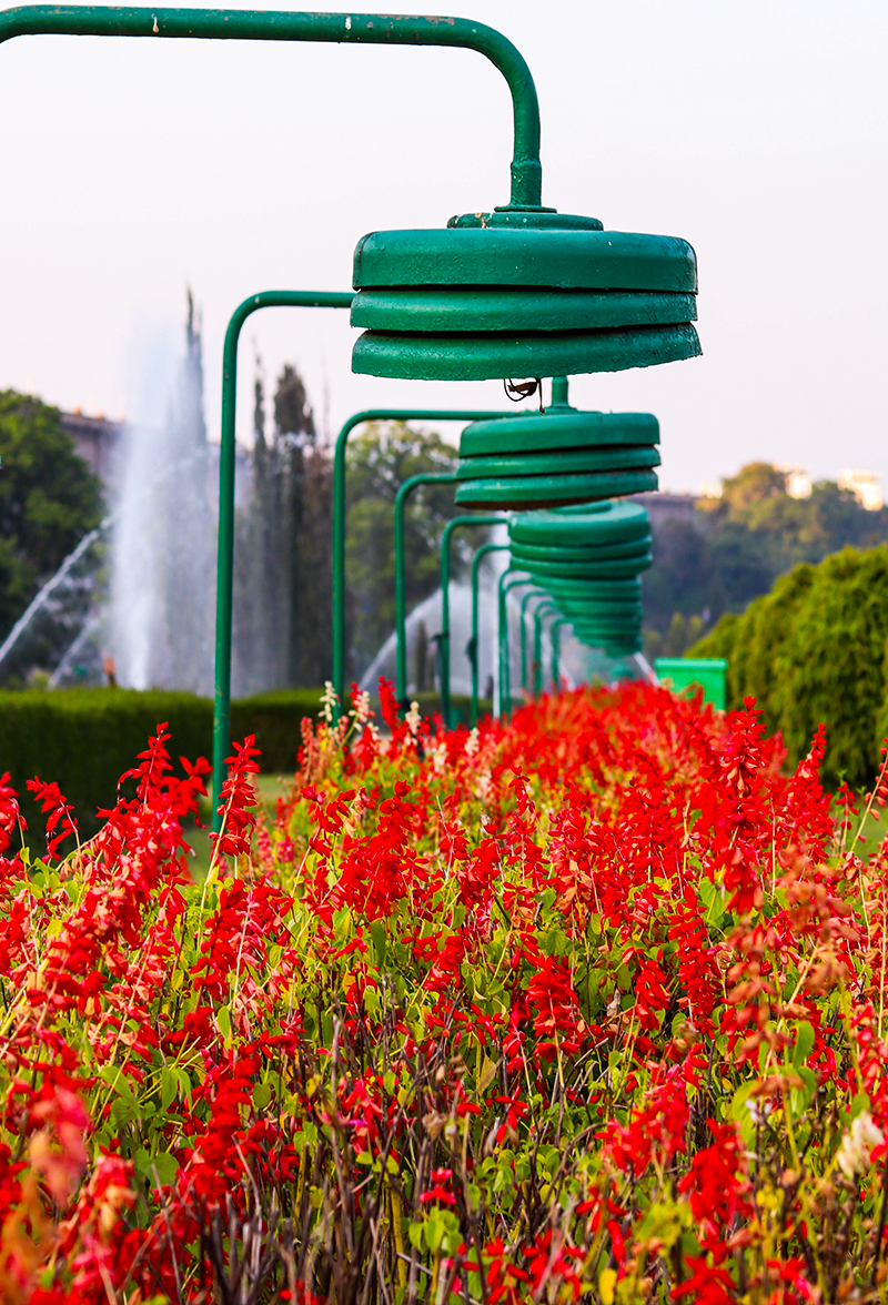 Brindavana Gardens muysuru