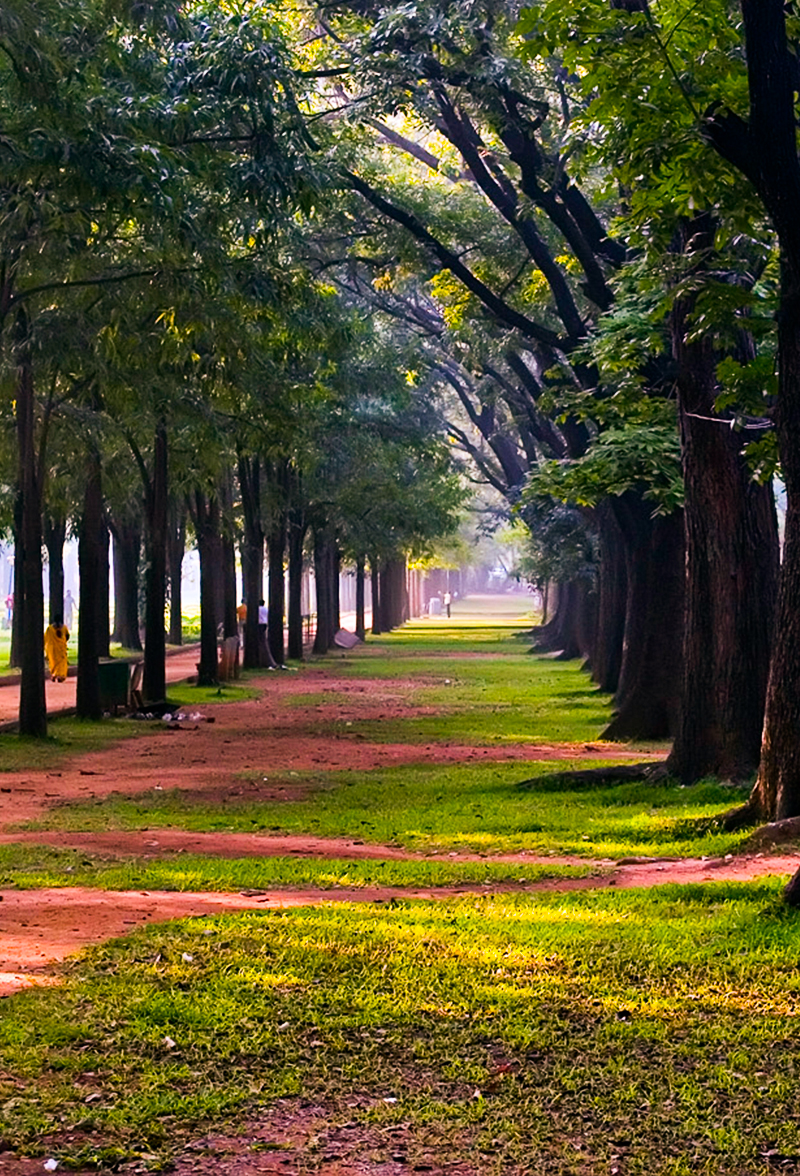 Cubbon Park bangalore