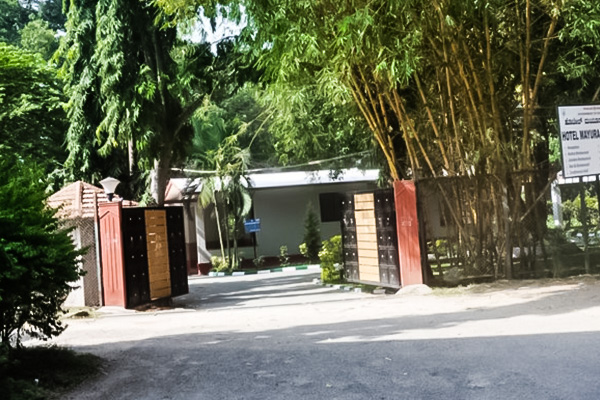 hotel mayura riverview srirangapatna