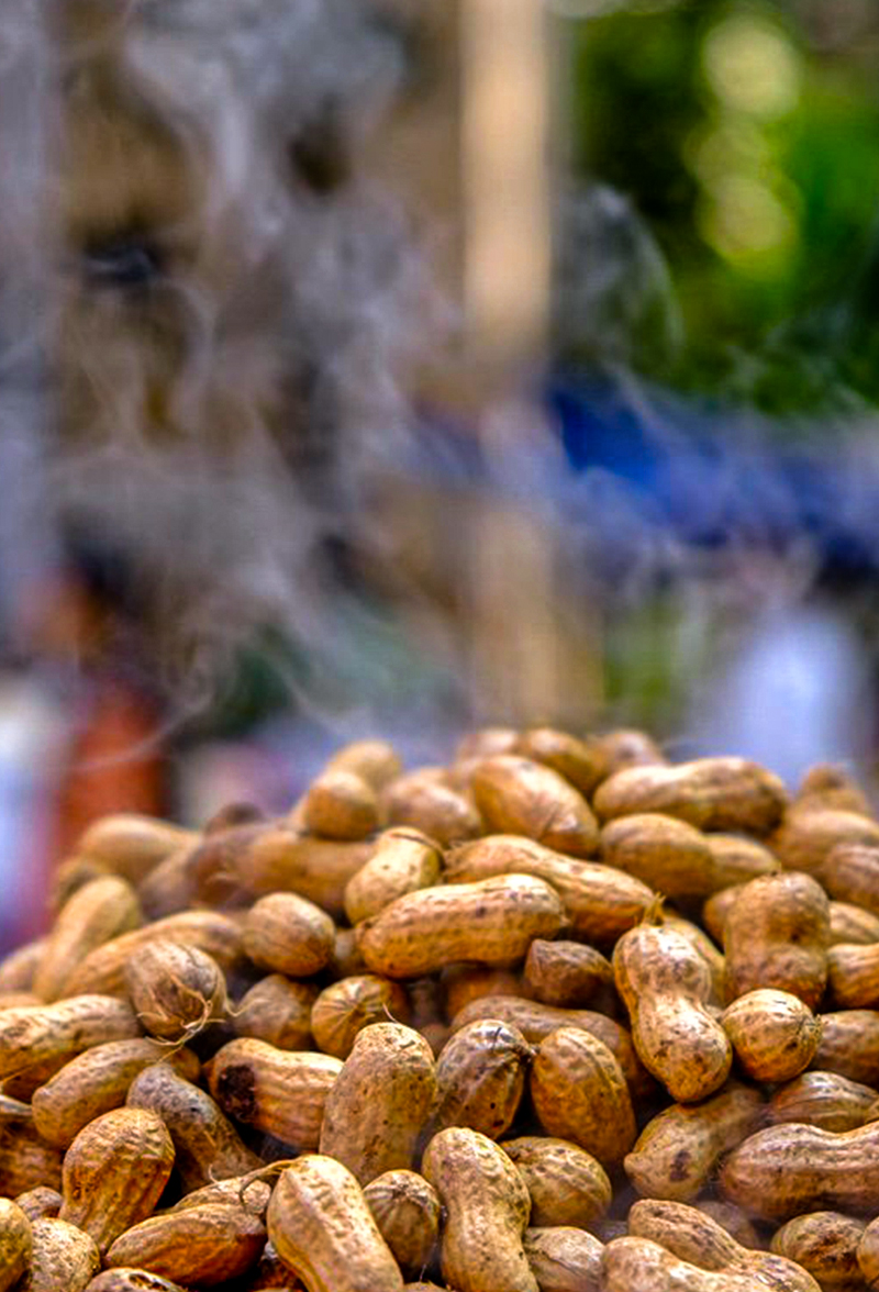 Basavanagudi Kadalekai Parishe