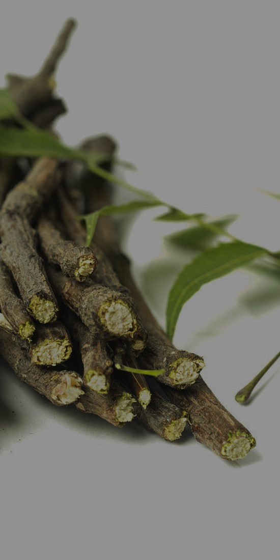 ಆಯುರ್ವೇದ