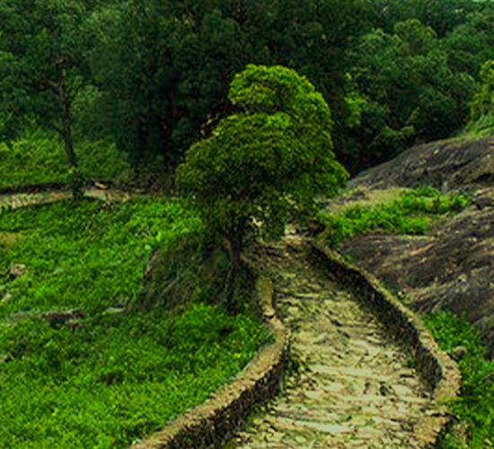 ಕವಲೆದುರ್ಗ ಕೋಟೆ