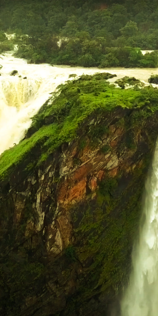 ಜೋಗ ಜಲಪಾತ