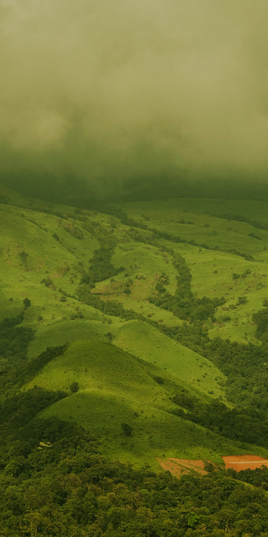 ತಡಿಯಾಂಡಮೋಳ್
