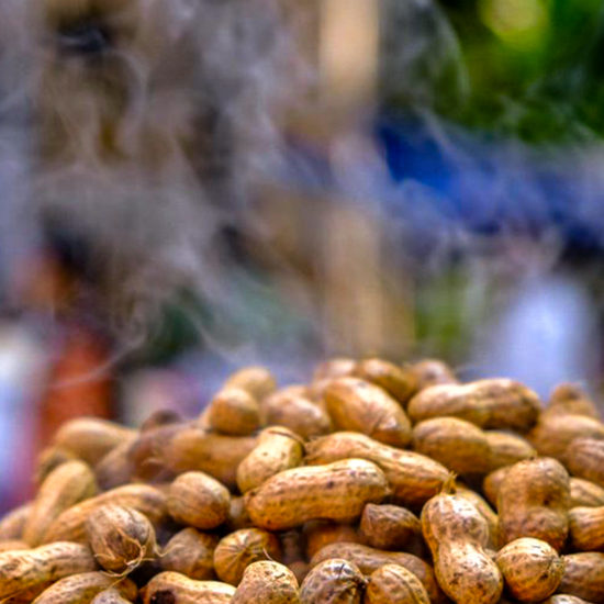 ಬಸವನಗುಡಿ ಕಡಲೆ ಕಾಯಿ ಪರಿಷೆ