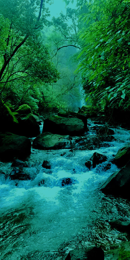 ಬೆಳಗಾವಿ