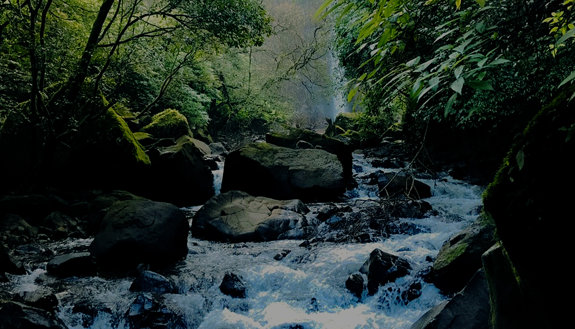 ಸದಾ ಜಲಪಾತಕ್ಕೆ ಚಾರಣ