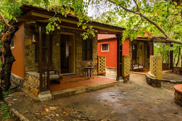 The Windflower Tusker Trails