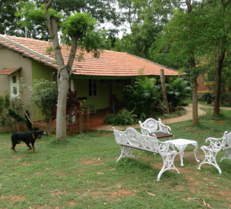 Georgia Sunshine Village Homestay