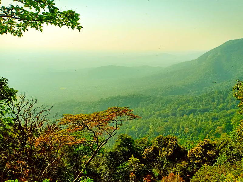 Agumbe