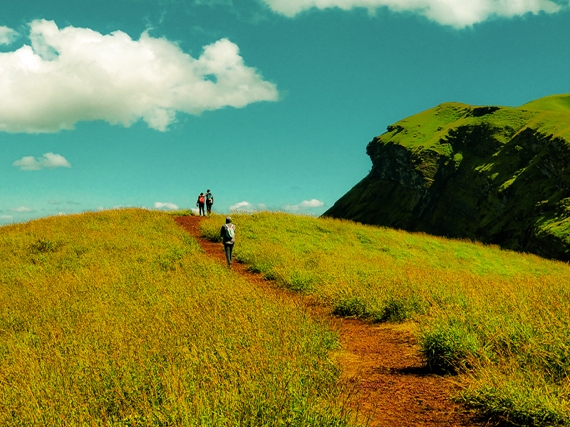 kemmanugundi hills station