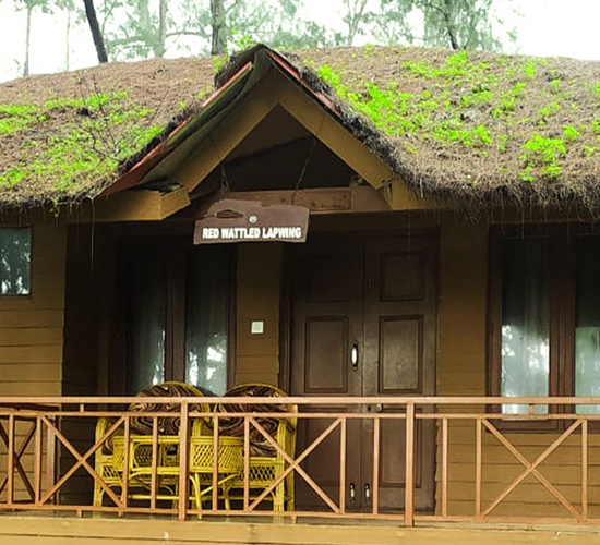 Jungle Lodges and Resorts