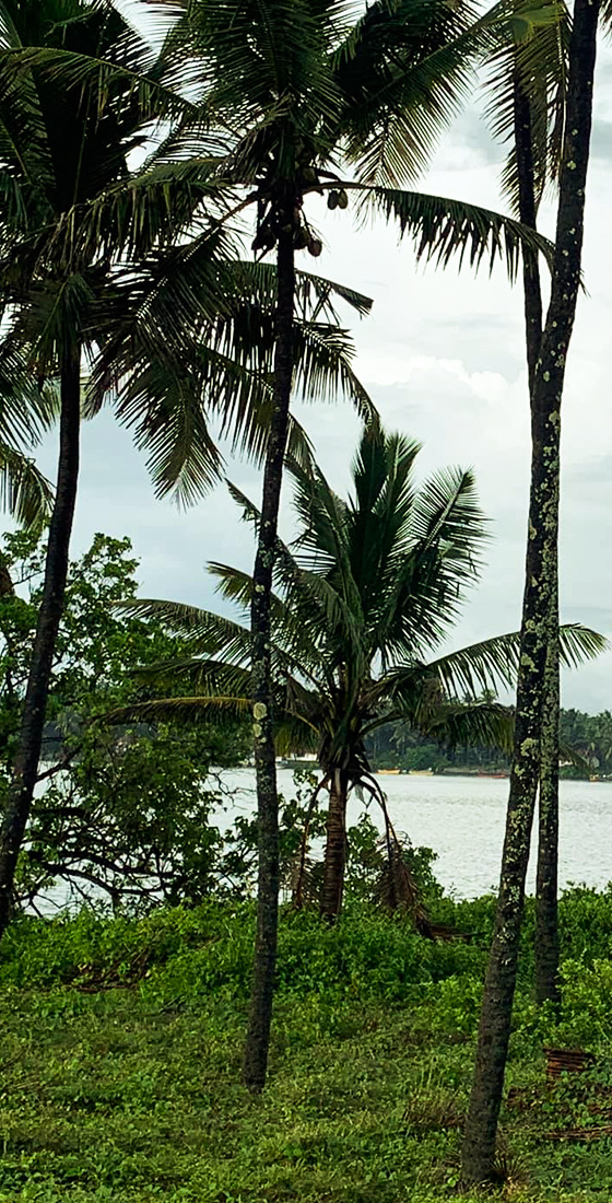 Mattu mattu beach karnataka