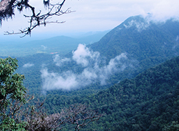 Agumbe