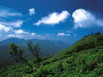 Coorg Karnataka