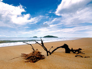 ಕಡಲತೀರ-ಕಾರವಾರ